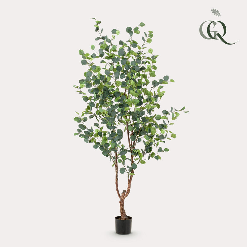Eucalyptus Kunstplant (Blauwe Gomboom)
