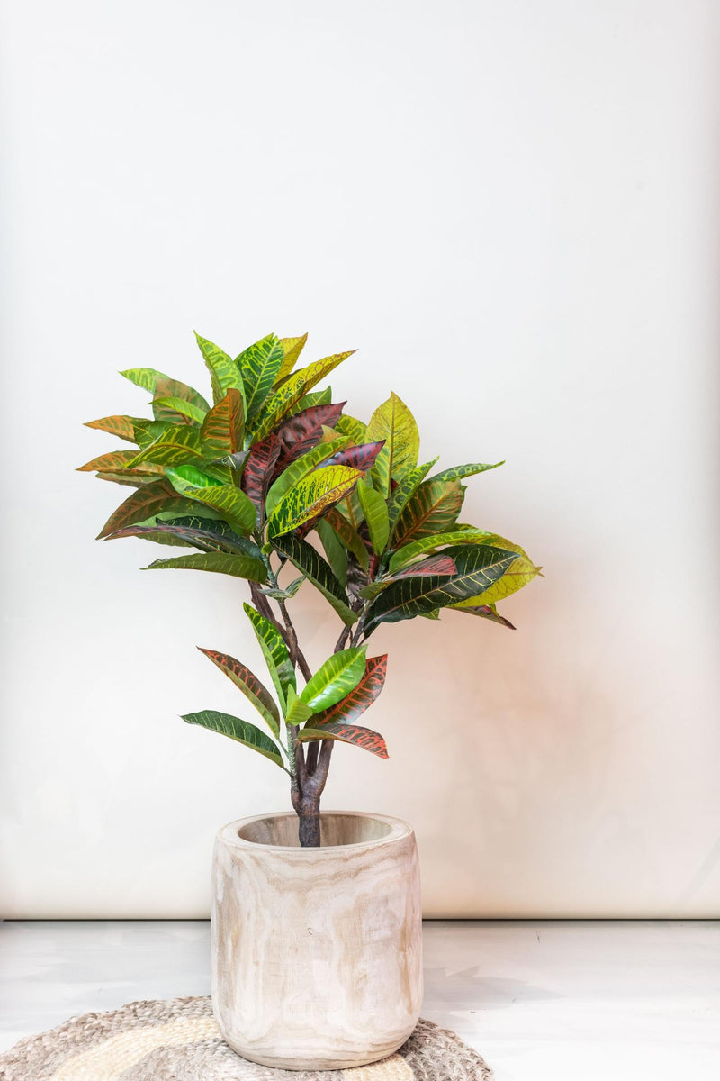 Croton Codiaeum Kunstplant (Wonderstruik)