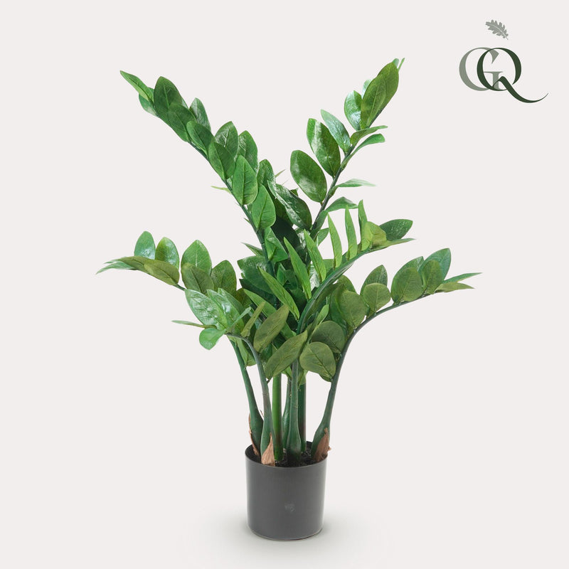 Zamioculcas Kunstplant (ZZ Plant)