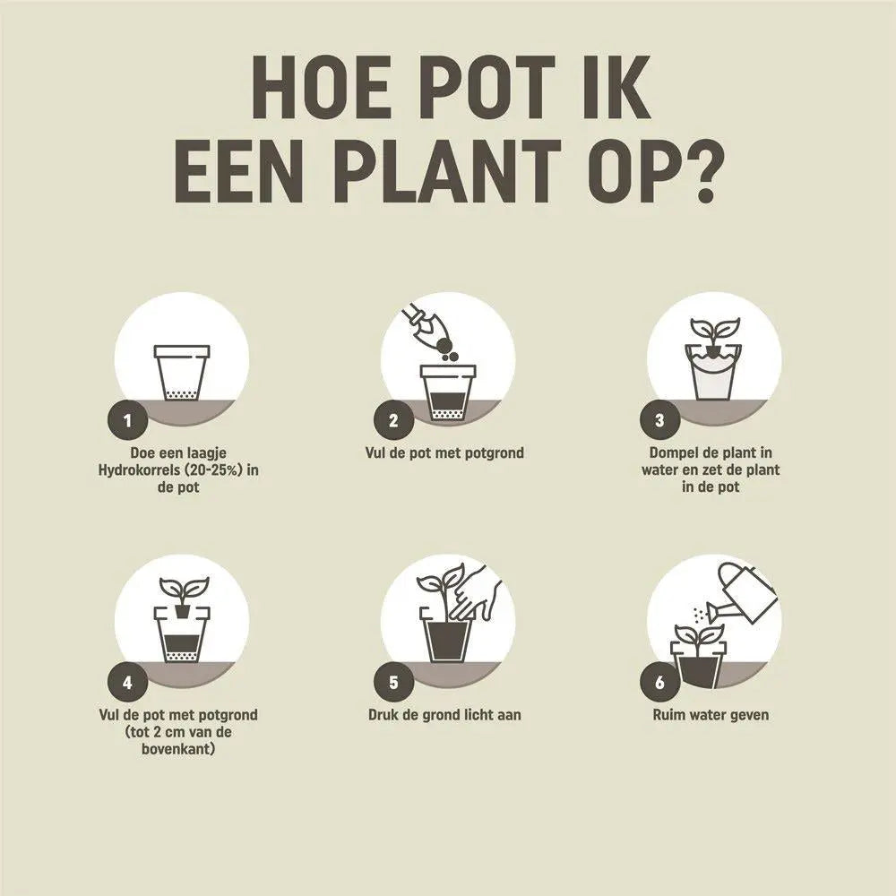Pokon Cactus & Vetplant Potgrond – 5 Liter Everspring