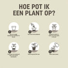 Pokon Cactus & Vetplant Potgrond – 5 Liter Everspring