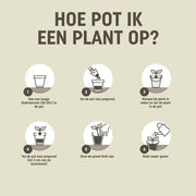 Pokon Cactus & Vetplant Potgrond – 5 Liter Everspring
