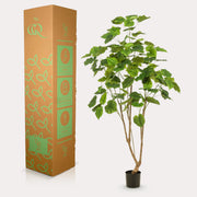 Ficus Umbellata kunstplant (Afrikaanse Vijg)