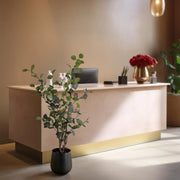 Eucalyptus Kunstplant (Blauwe Gomboom) Everspring