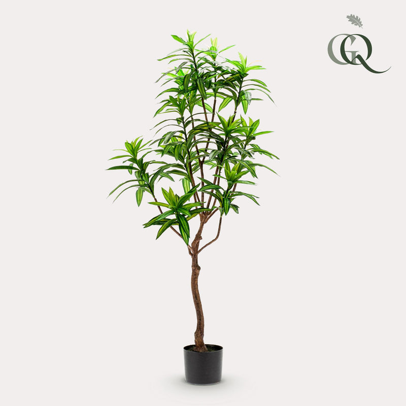 Dracaena Kunstplant (Drakenboom)