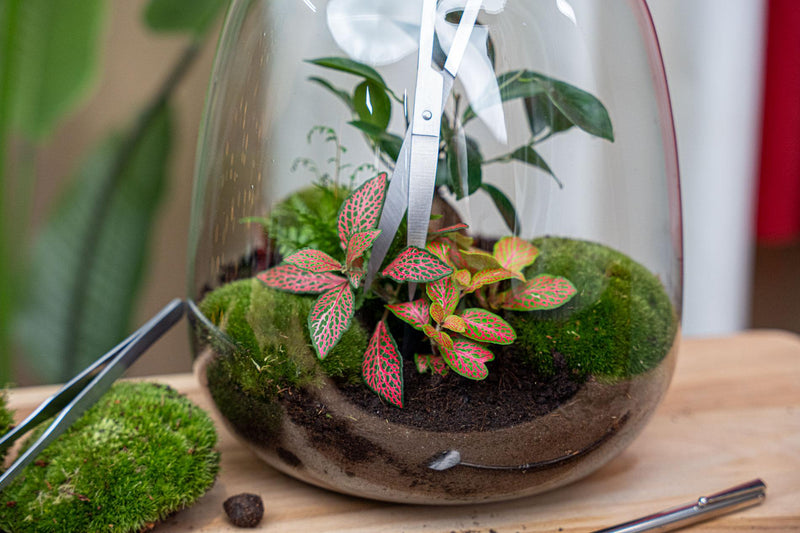 Lange Terrarium-Schaar – RVS