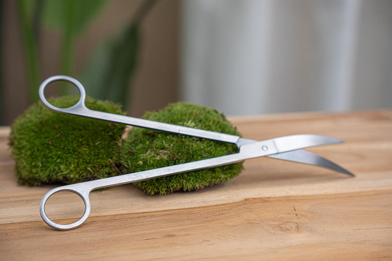 Lange Terrarium-Schaar – RVS