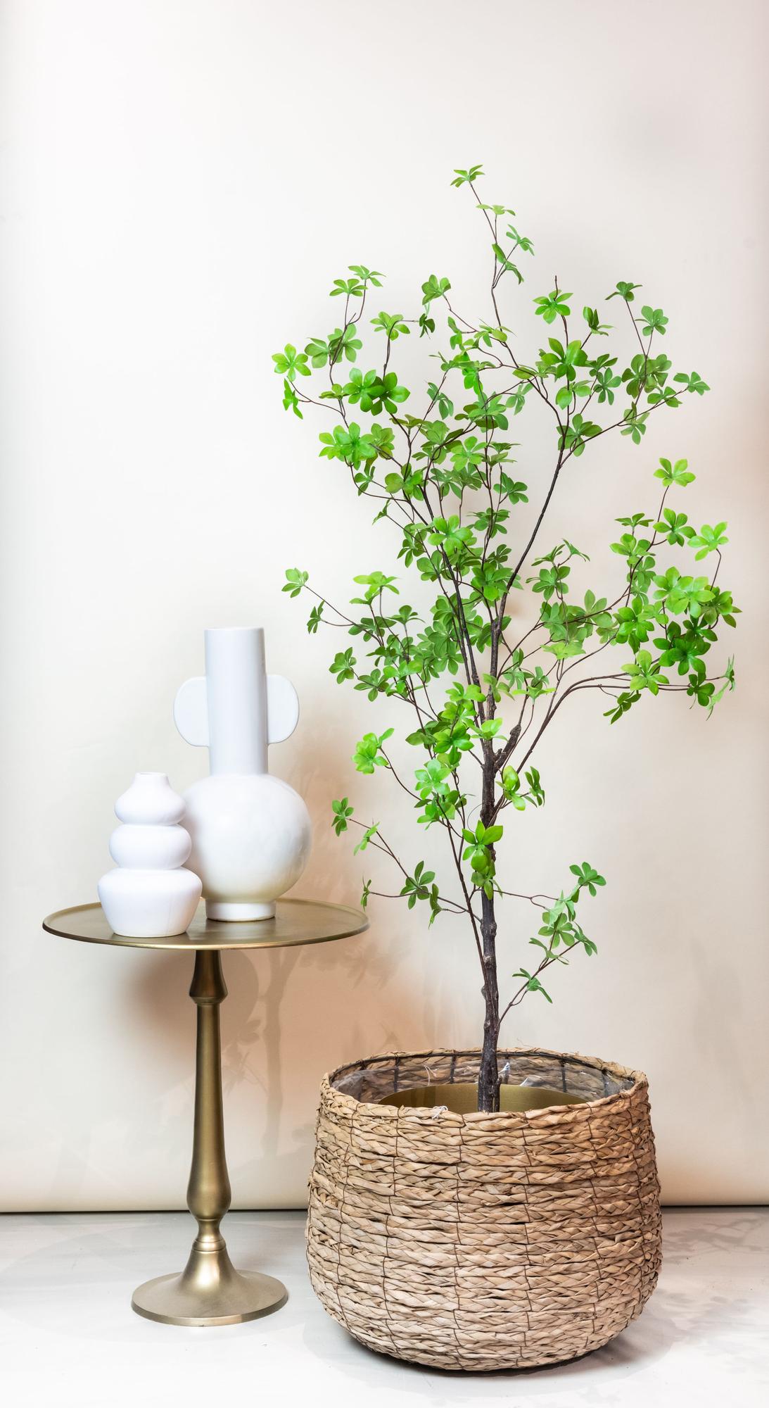 Kunst Tropaeolum Speciosum (Oost-Indische Kers)
