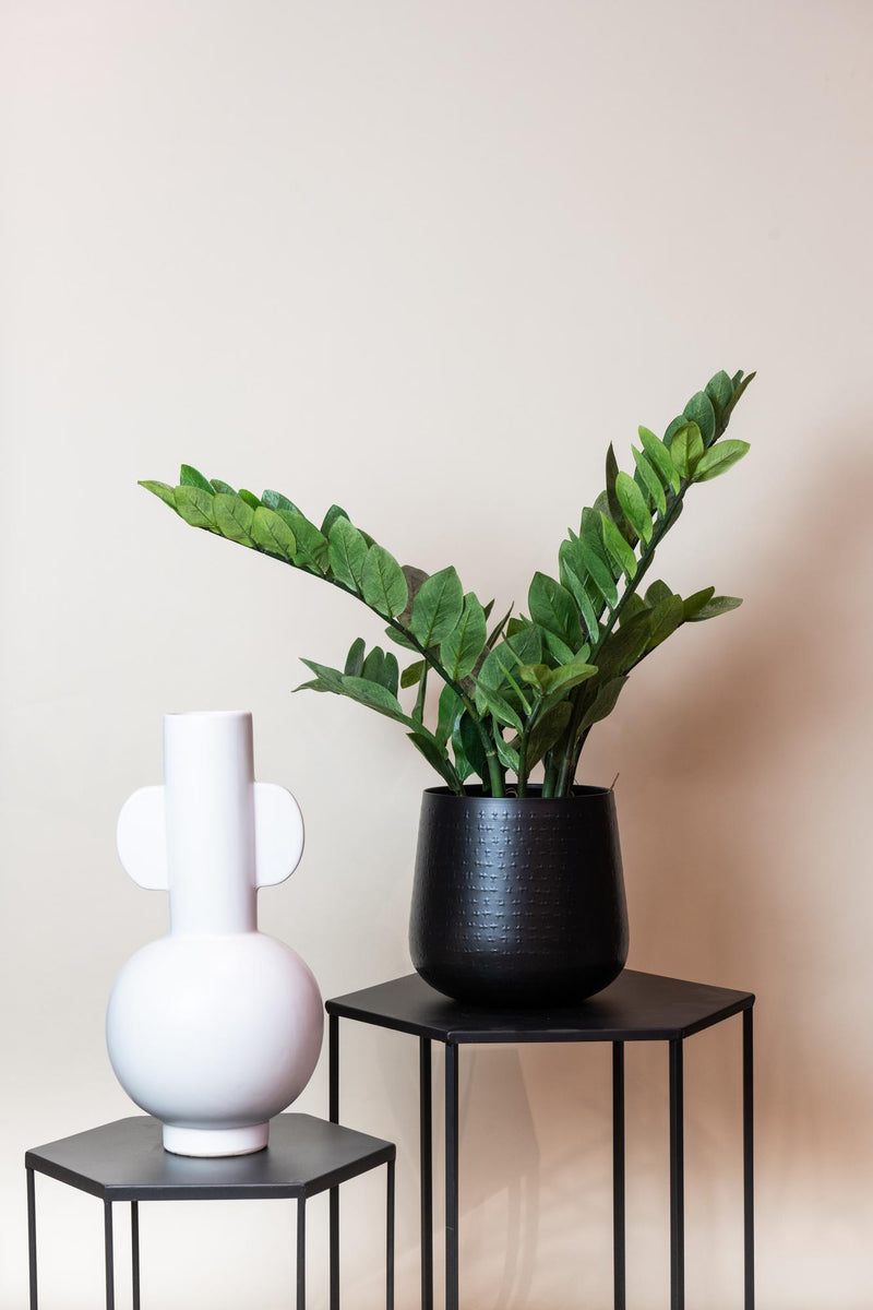 Zamioculcas Kunstplant (ZZ Plant)
