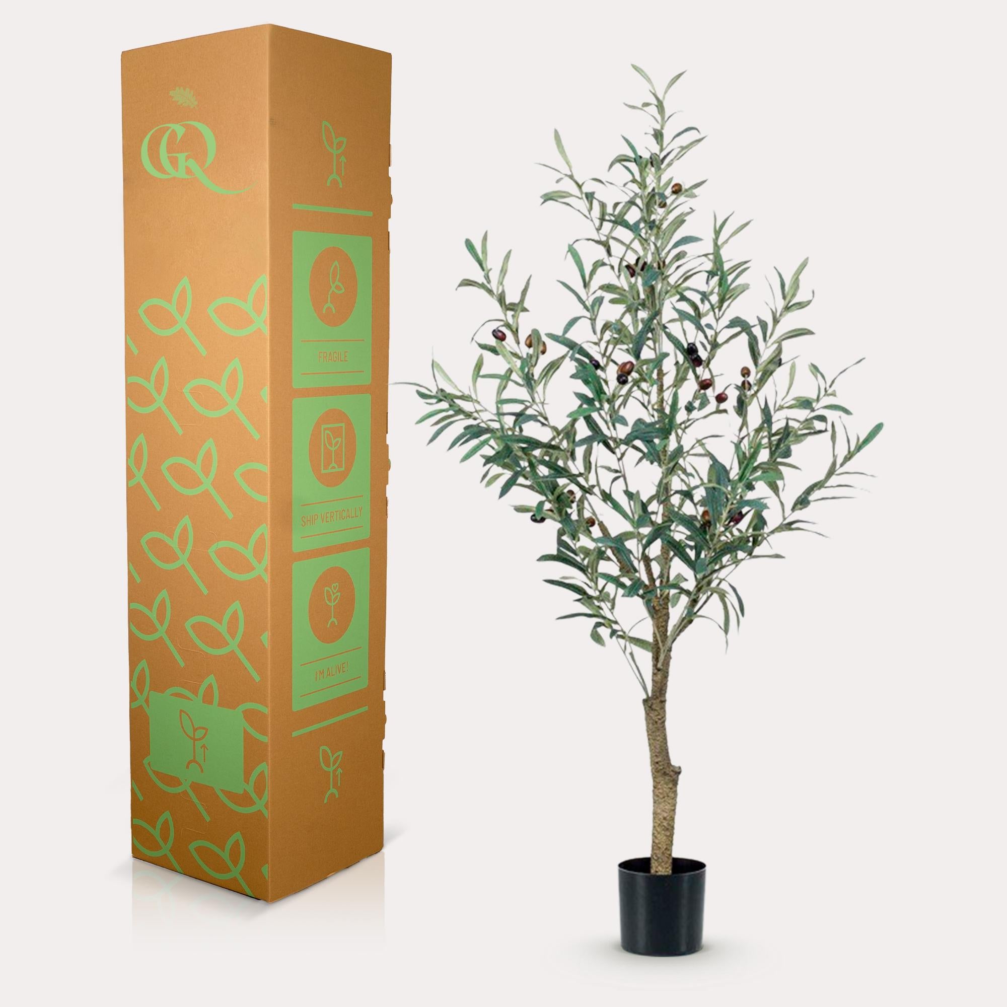 Kunst Olijfboom (Olea europaea)