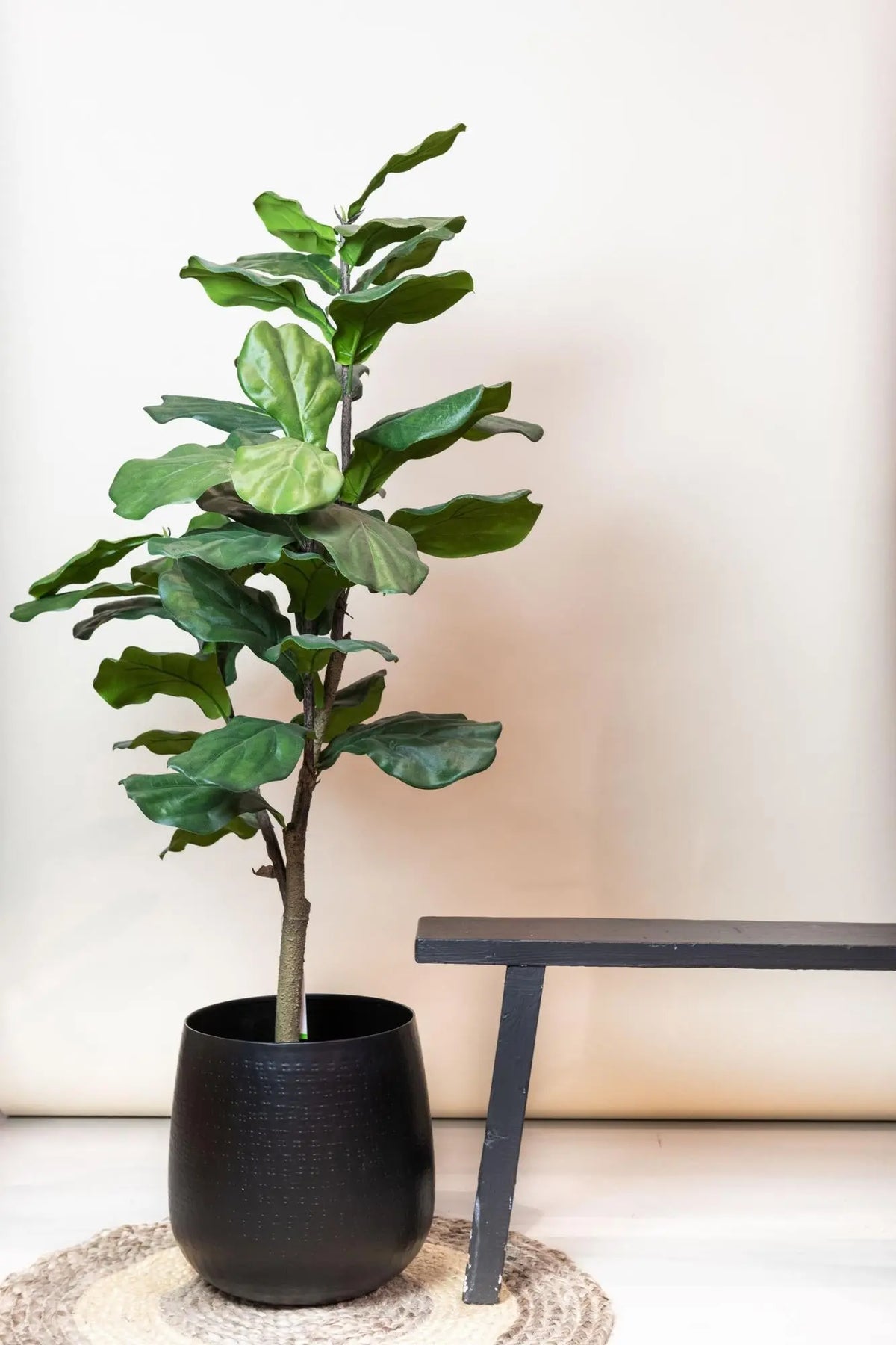 Ficus Lyrata Kunstplant (Tabaksplant) Everspring