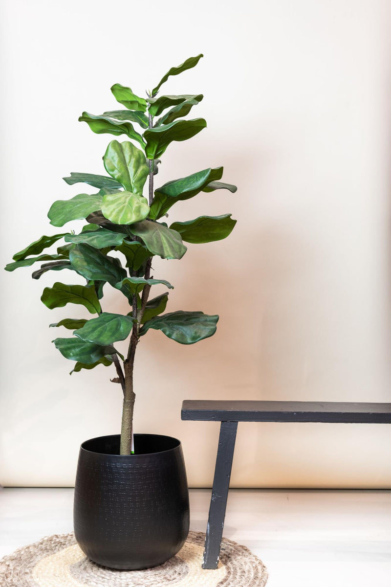 Ficus Lyrata Kunstplant (Tabaksplant)
