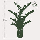 Zamioculcas Kunstplant (Kamerpalm)