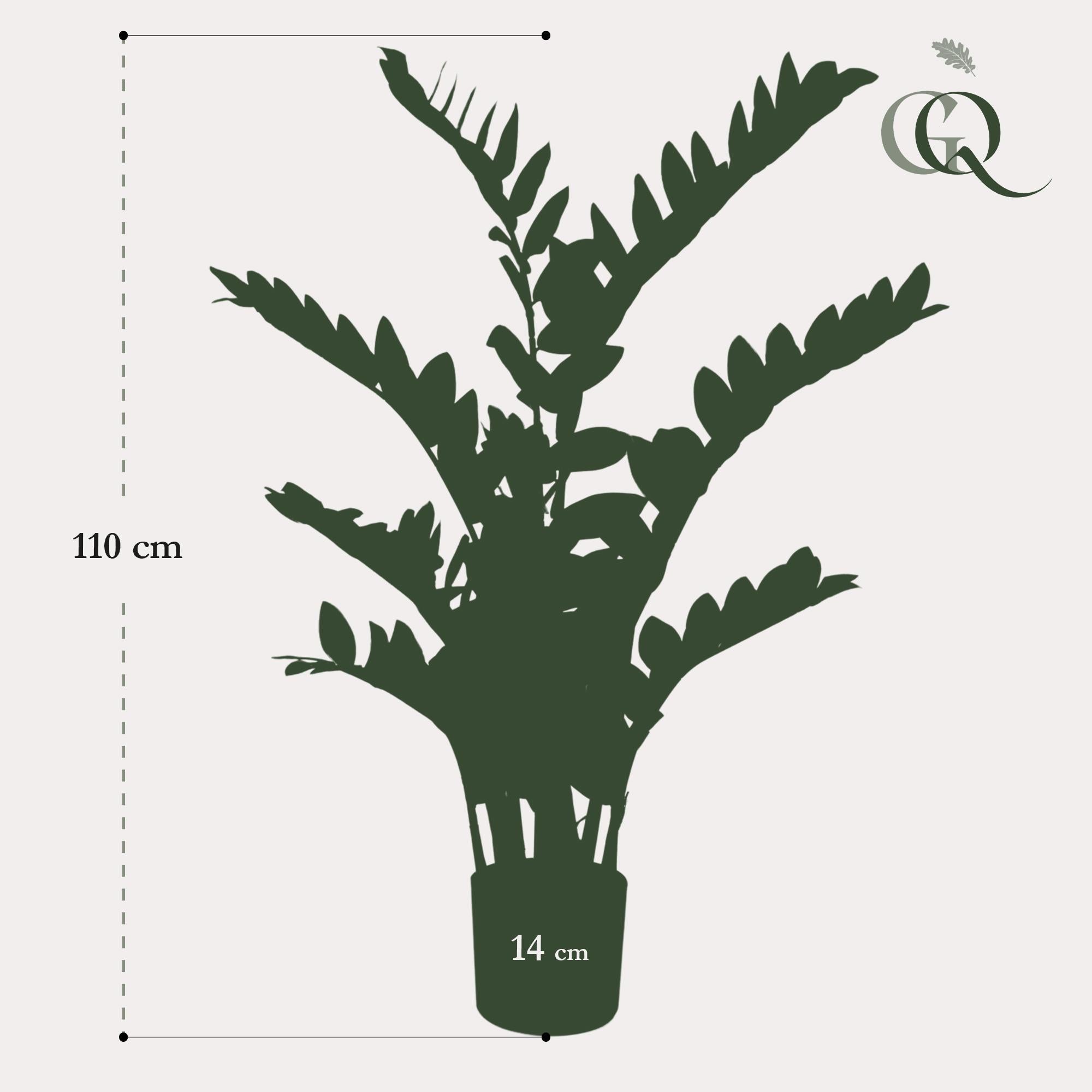Zamioculcas Kunstplant (Kamerpalm)