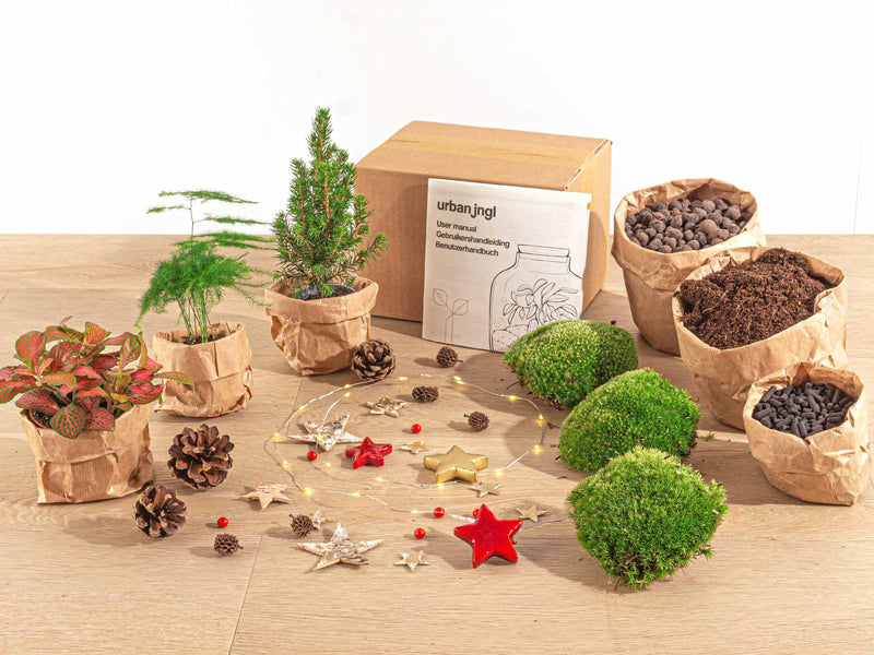 DIY Kerst Terrarium Startpakket – Mini Kerstboom