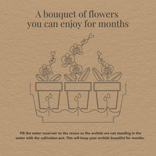 Witte Orchideeënset – Honey Dish met Waterreservoir