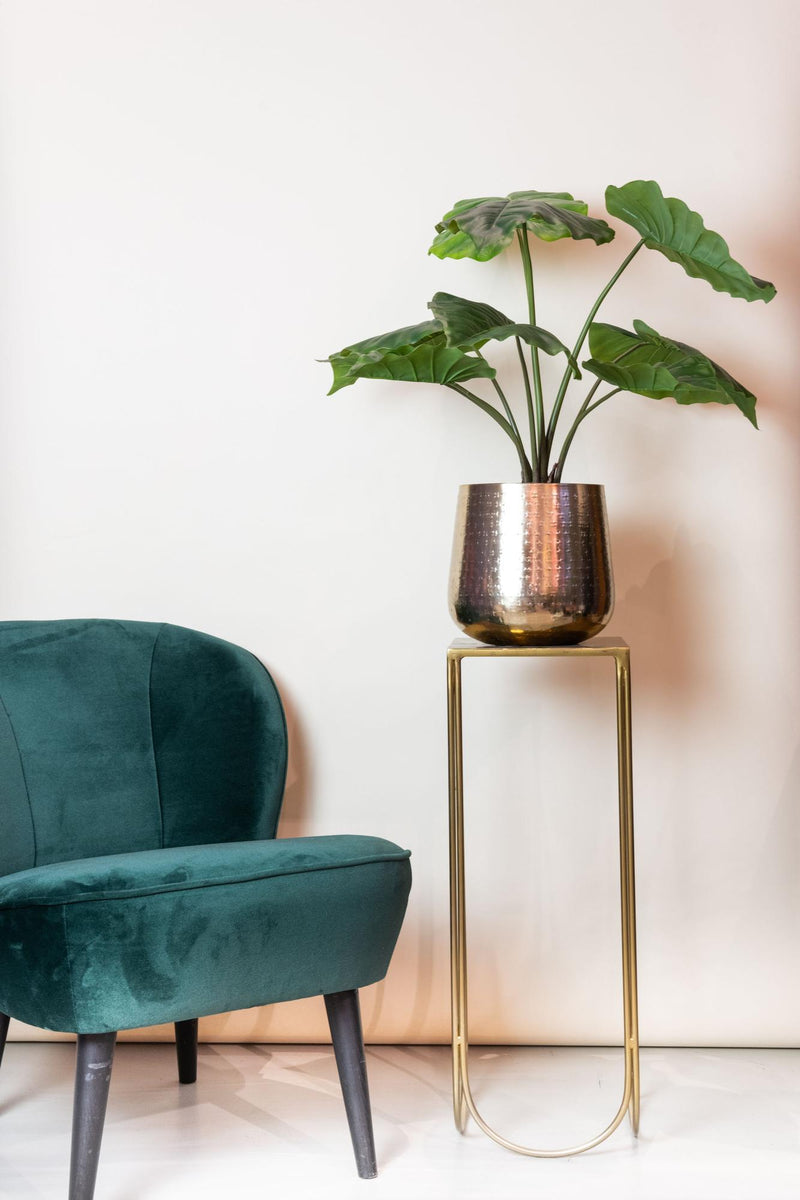 Alocasia Kunstplant (Olifantsoor)