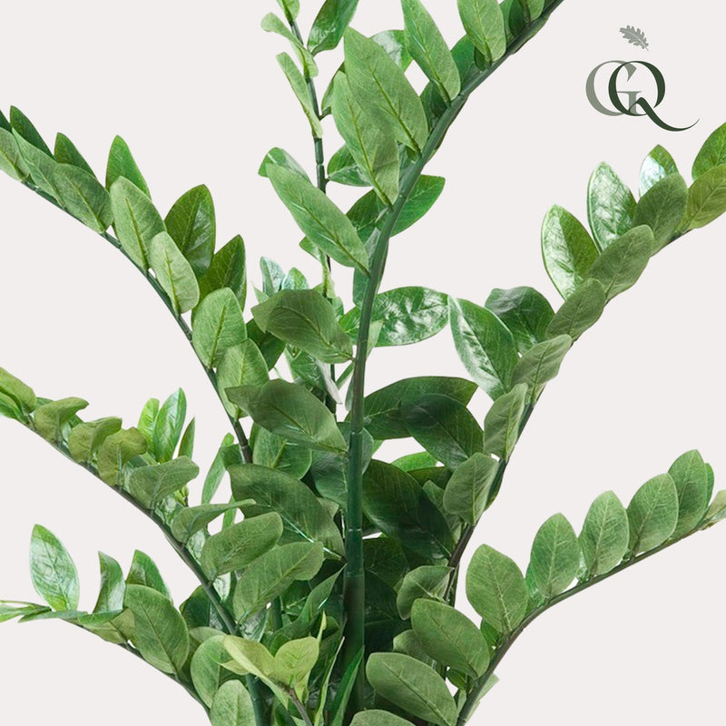 Zamioculcas Kunstplant (Kamerpalm)