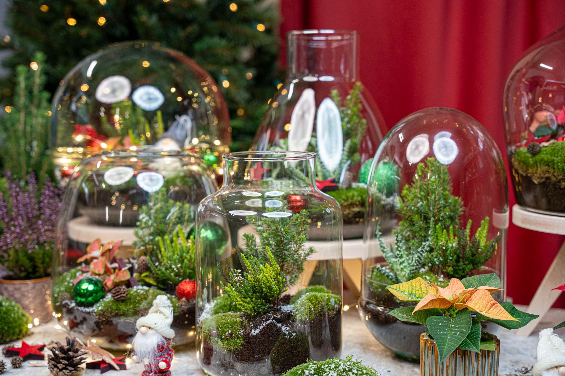 Berry Christmas Terrarium DIY Kit