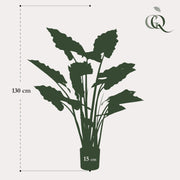 Colocasia Pink China Kunstplant (Olifantsoor)