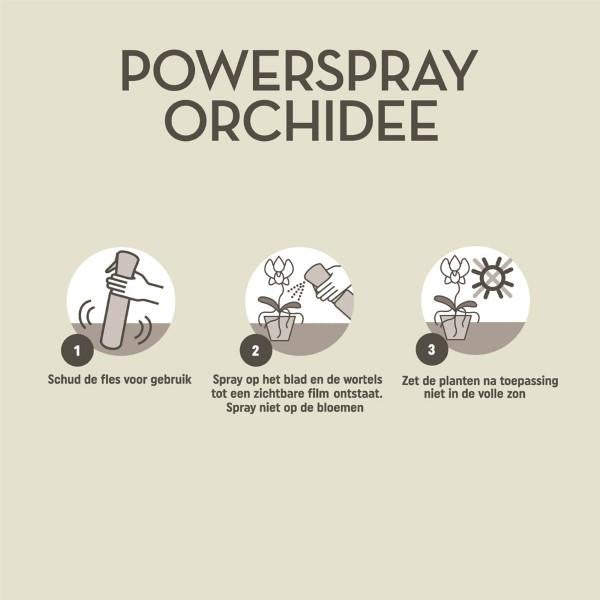 Pokon Powerspray Orchidee – 300ML