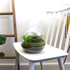 Dome Terrarium