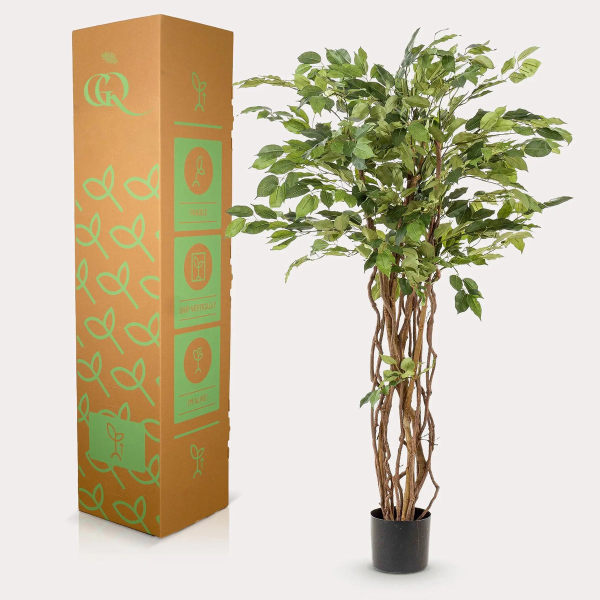 Ficus Liana Kunstplant (Vioolbladplant) Everspring