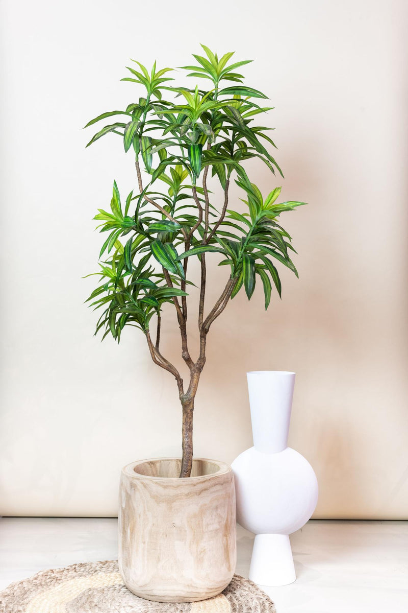 Dracaena Kunstplant (Drakenboom)