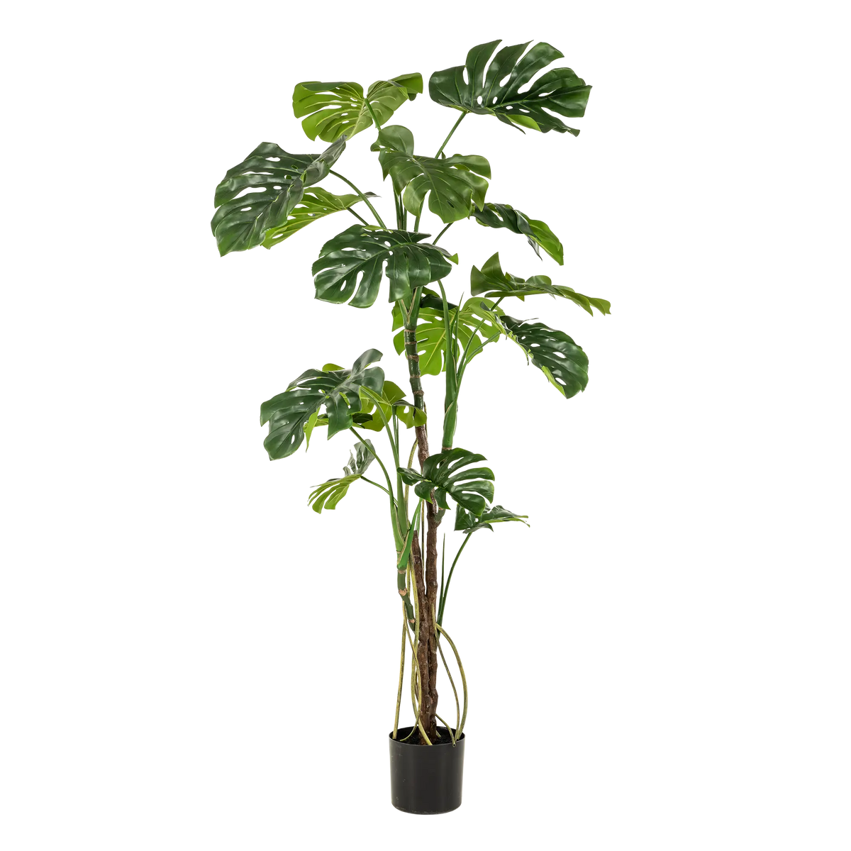 Monstera Kunstplant (Gatenplant) Everspring