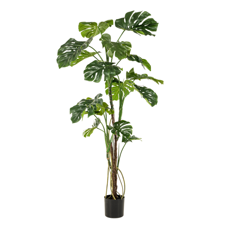 Monstera Kunstplant (Gatenplant)